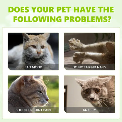 Catnip Spray Anxiety Relief Enhances Vitality