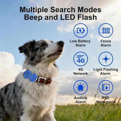 GPS Location Tracker for Pets with Smart Alerts
