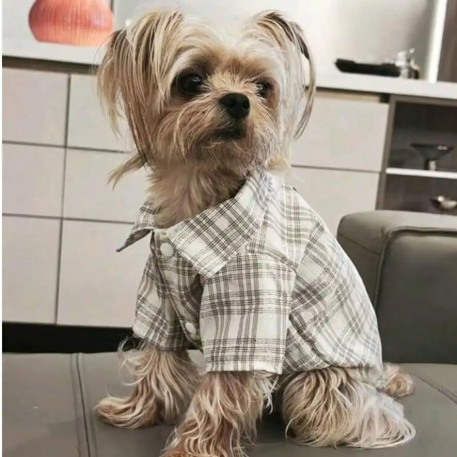 Small Pet, Spring, Summer, Plaid Shirt