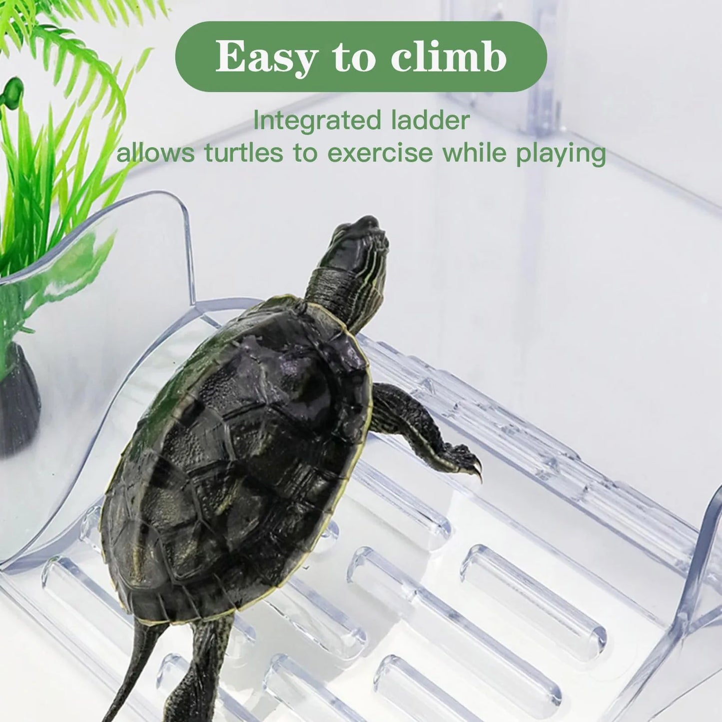 Floating Turtle Basking Platform, Transparent