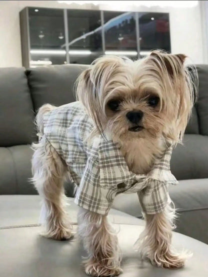Small Pet, Spring, Summer, Plaid Shirt