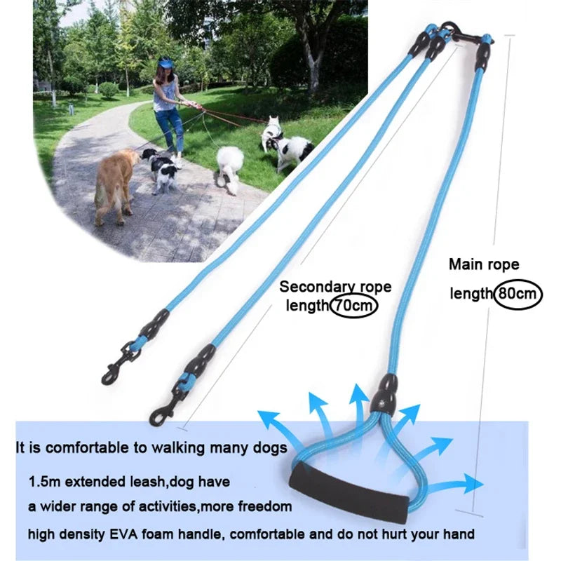 Dog Leash Walk Multi Pets Together