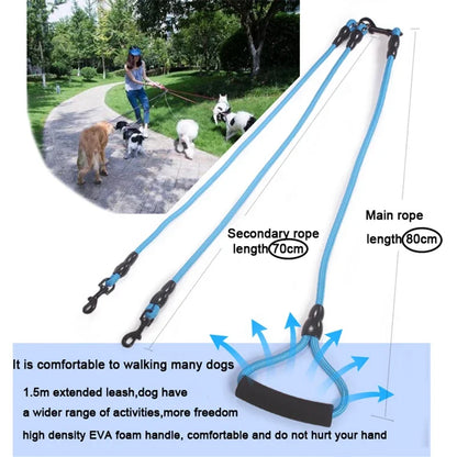 Dog Leash Walk Multi Pets Together