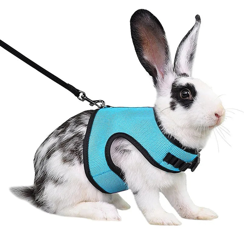 Pet Harness and Leash, Breathable Mesh, Rabbit