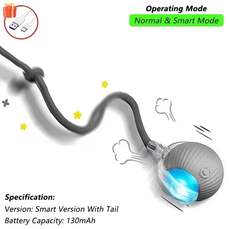 Cat or Dog Interactive Rolling Ball With Tail, Rechargeable