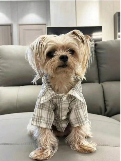 Small Pet, Spring, Summer, Plaid Shirt