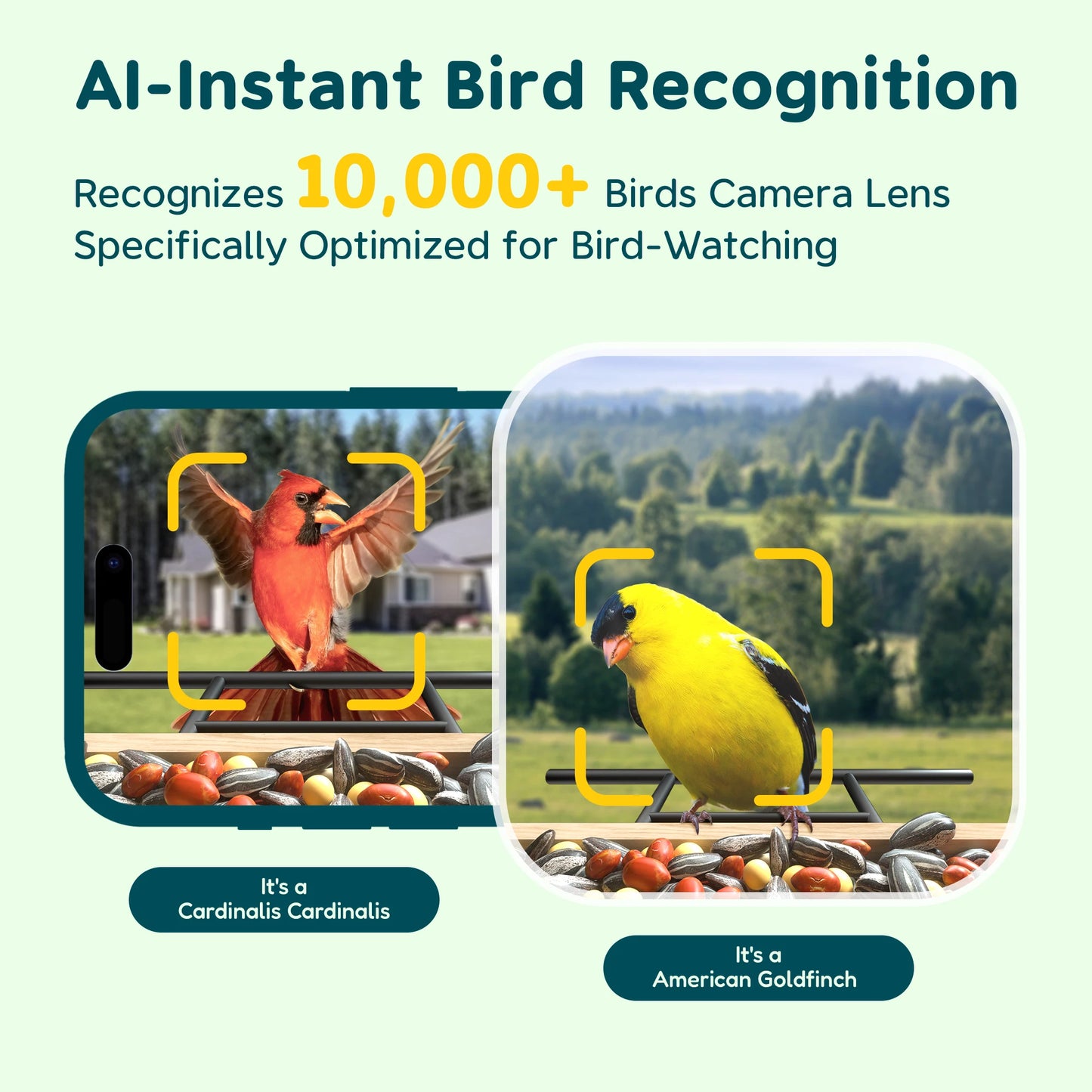 Bird Feeder with Camera, 1.5L Smart Birdhouse