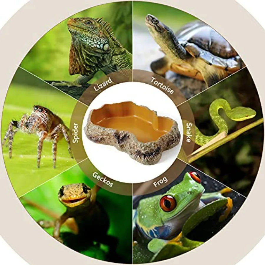 Reptile Food Water Rock Bowls, Terrarium
