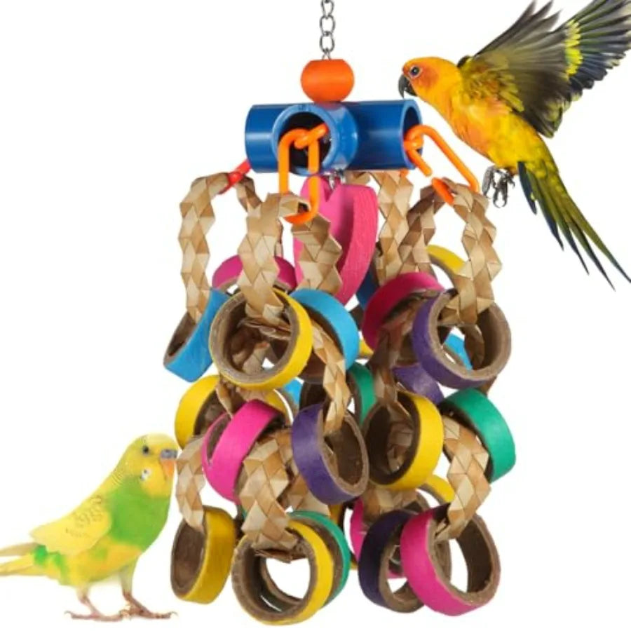 Bird Foraging, Shredde, Chew Rings