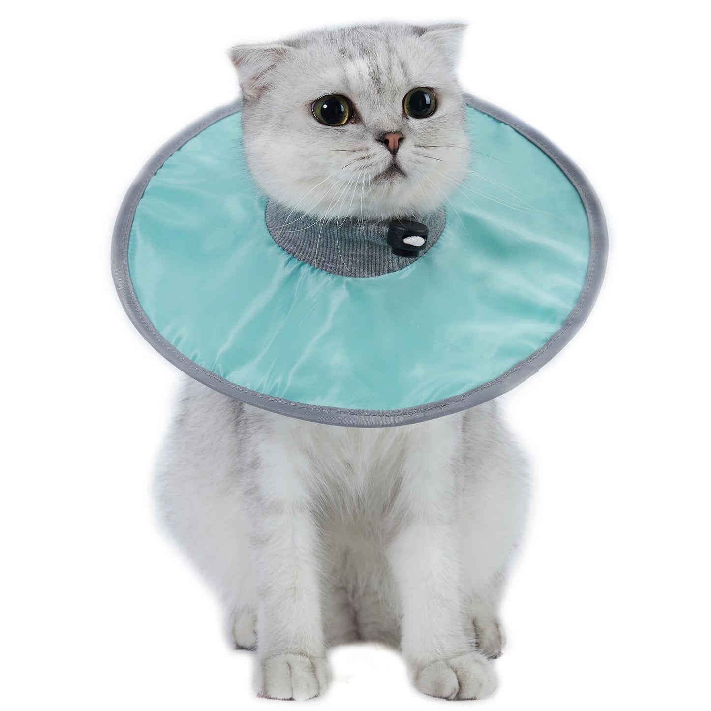 Pet Cat Protective Recovery, Anti-Licking Collar