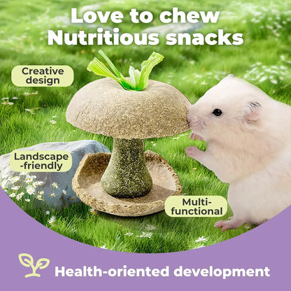 Apple Core Shaped Hamster Chew Toy and Treat Holder
