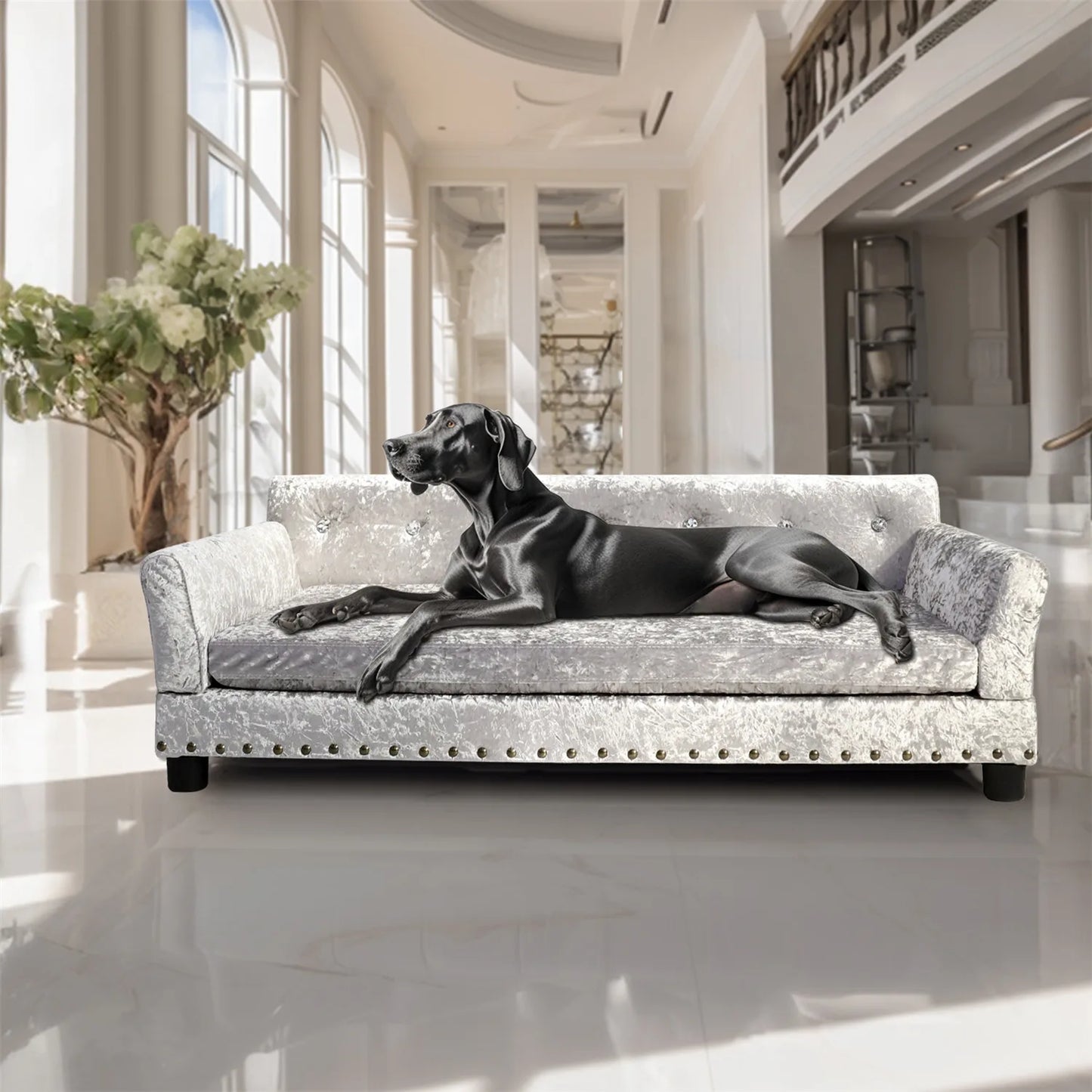 XL Dog Sofa Bed Deluxe, Tufted, Elevated
