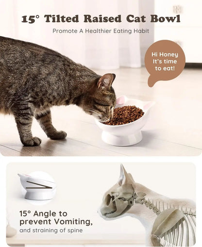 Tilted Ceramic Cat Bowl, Raised Base