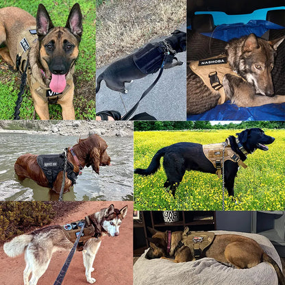 Large, Medium Dog Harness, Collar And Leash Set