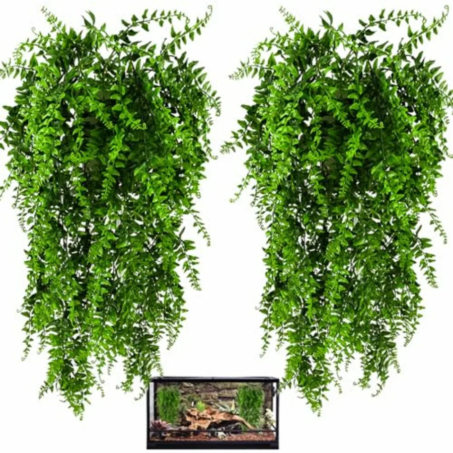 Terrarium Hanging Plants Decorations with Suction Cups