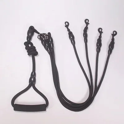 Dog Leash Walk Multi Pets Together