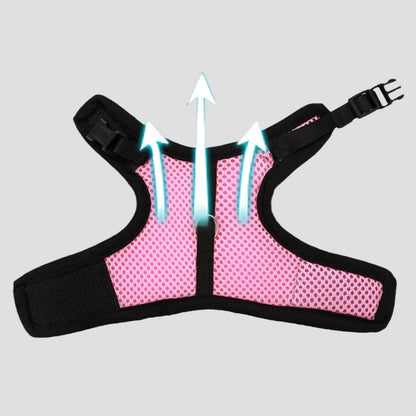 Pet Harness and Leash, Breathable Mesh, Rabbit