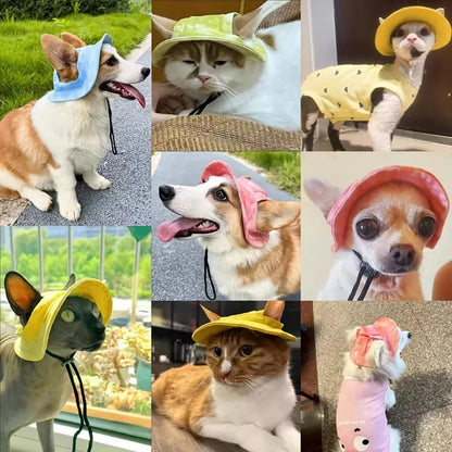 Outdoors Sun Hat with Ear Holes For Pets