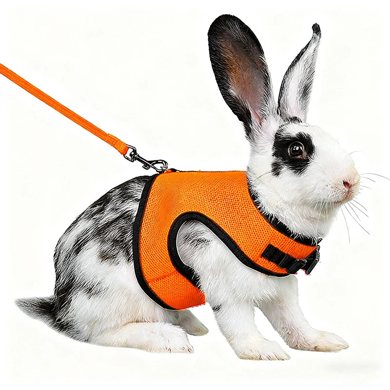 Pet Harness and Leash, Breathable Mesh, Rabbit
