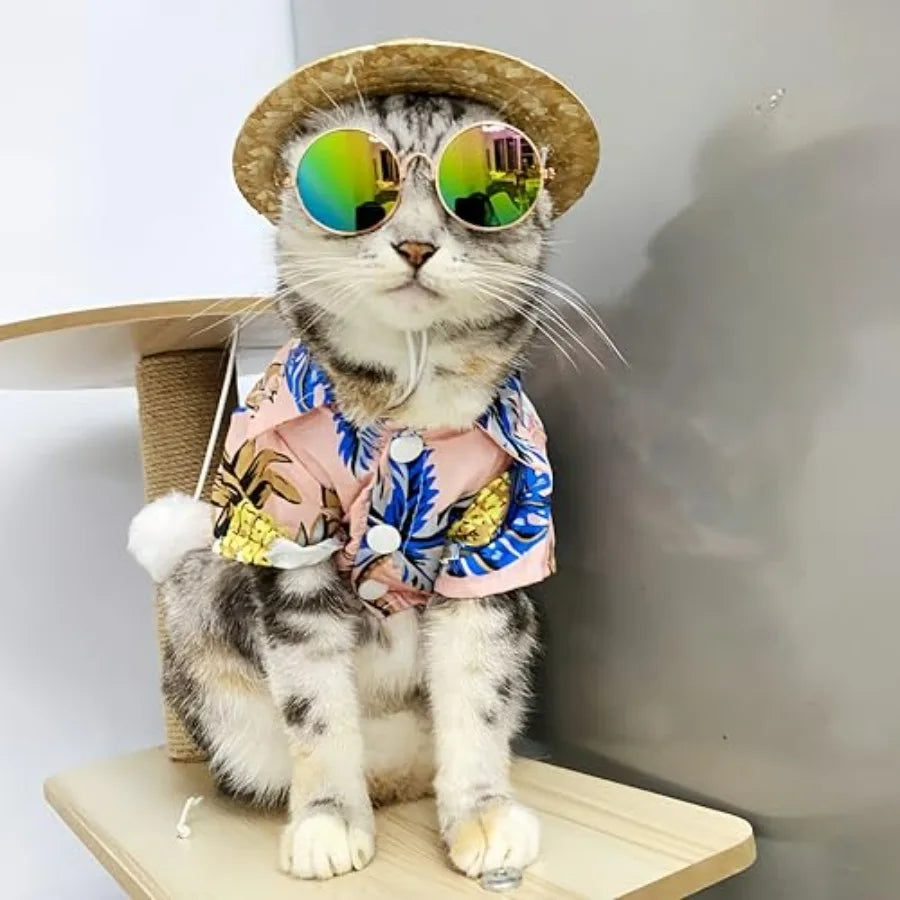 Pet Hawaiian summer set (shirt, hat, sunglasses)