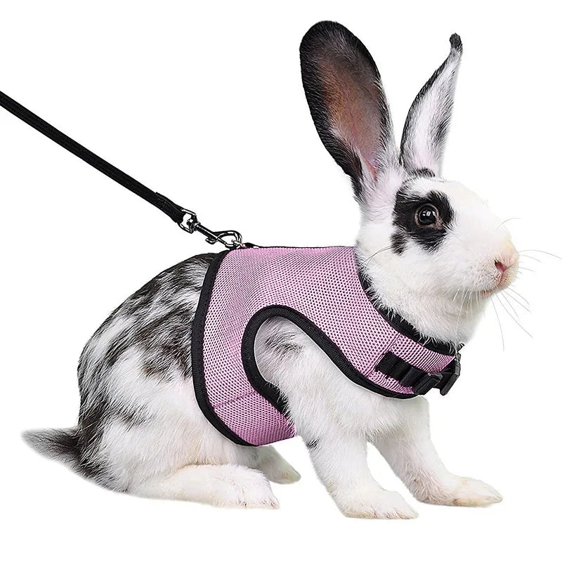 Pet Harness and Leash, Breathable Mesh, Rabbit