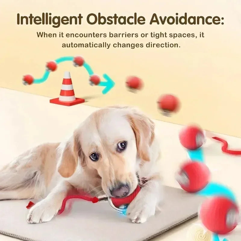 Cat or Dog Interactive Rolling Ball With Tail, Rechargeable