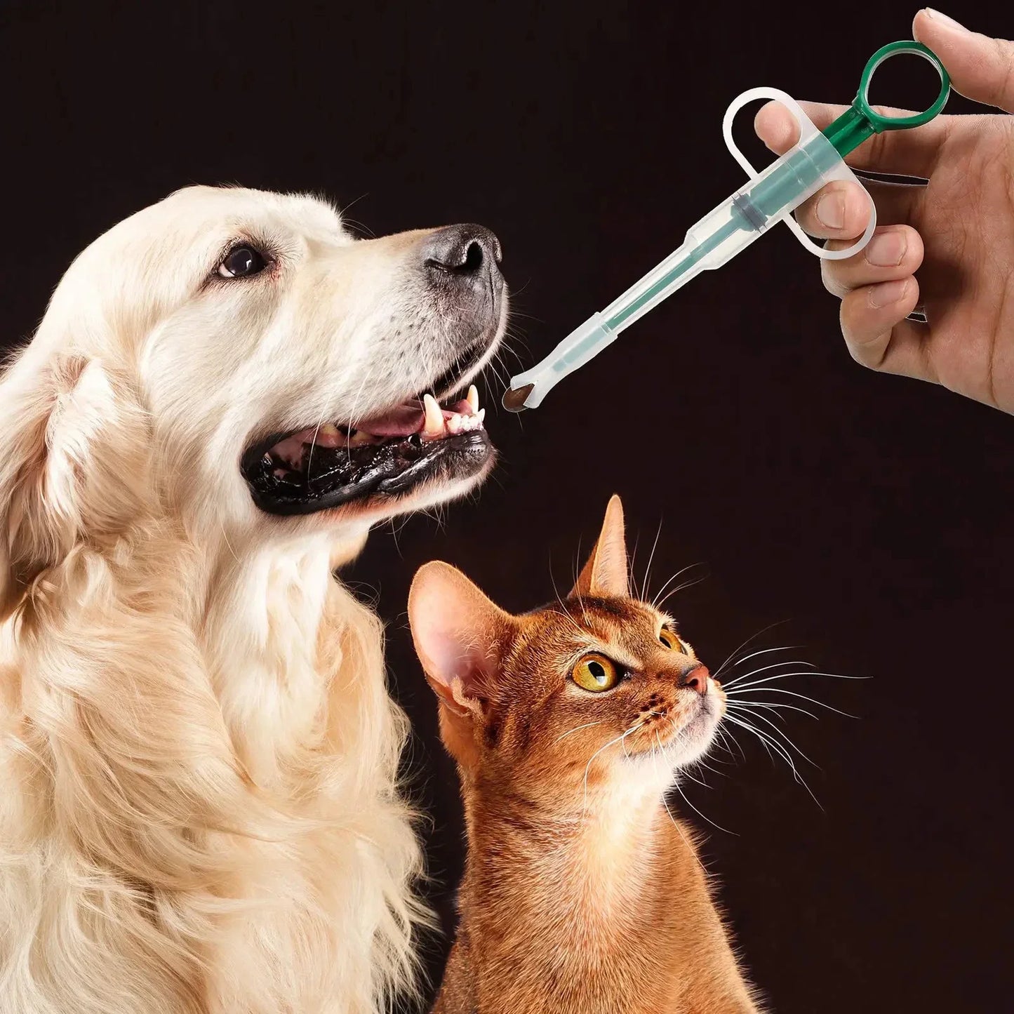 Pet Feeding Stick, Medication Dispenser