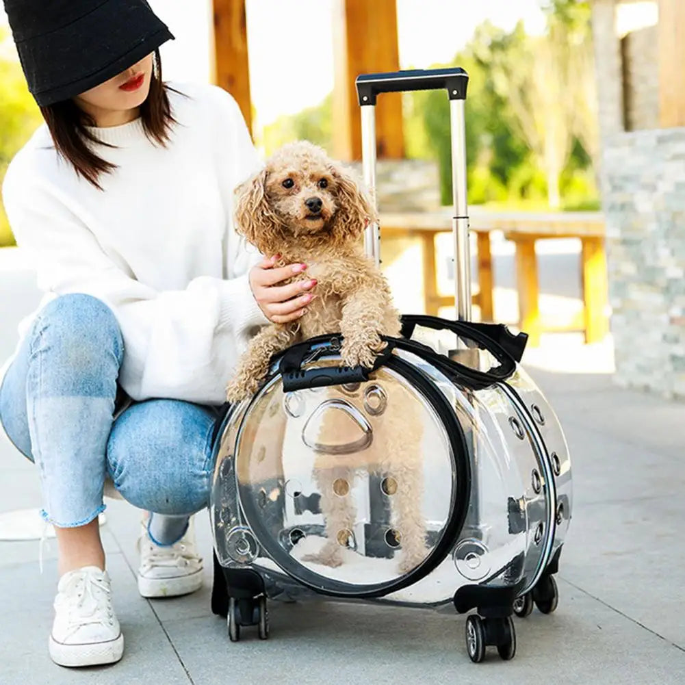 Portable Pet Trolley Case for Cats/ Small Dogs