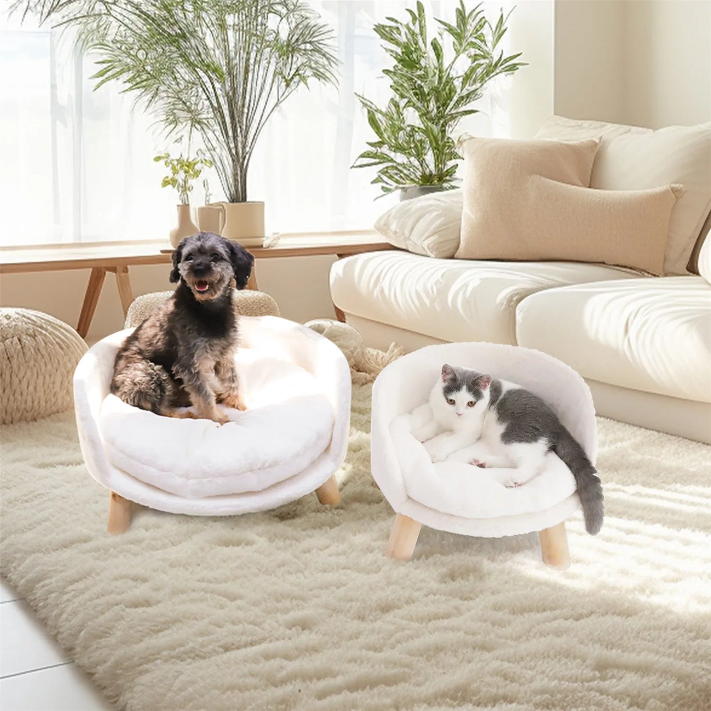 Pet Sofa Bed Raised, Removable Cushion