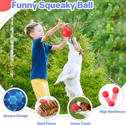 Squeaky, Interactive Dog Chew Toy
