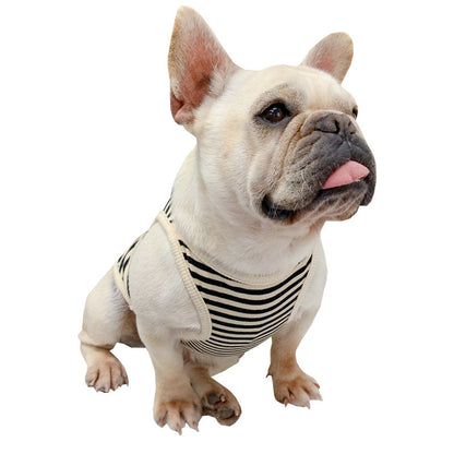 Fashionable Dog Summer Clothes