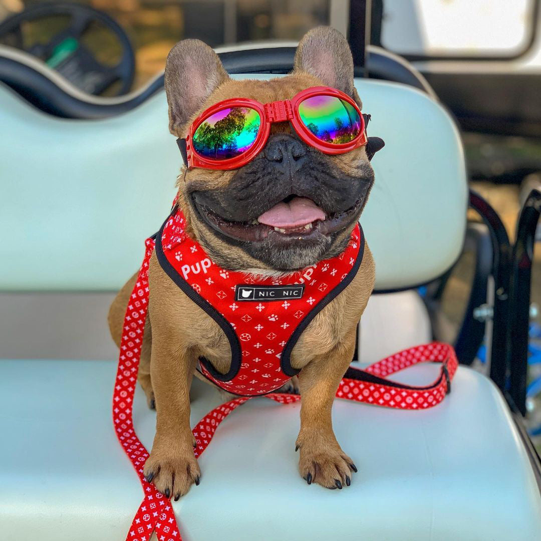 Dog Breathable Mesh Chest Harness and Leash Set