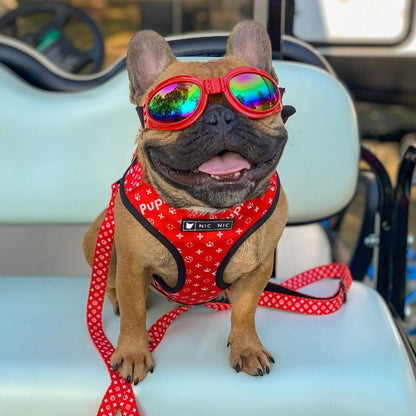 Dog Breathable Mesh Chest Harness and Leash Set