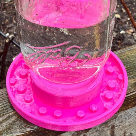 Hummingbird and Bee Feeder