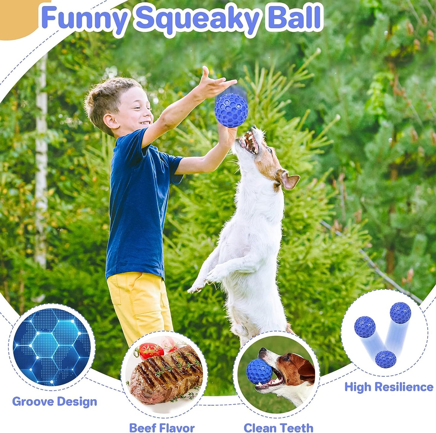 Squeaky, Interactive Dog Chew Toy