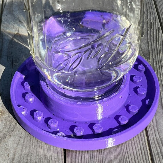 Hummingbird and Bee Feeder