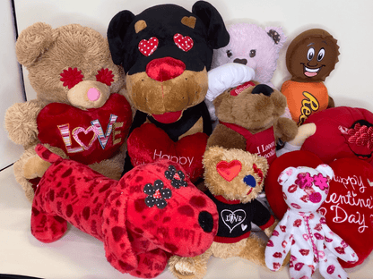 MEDIUM Hearts, Love & Candy Dog Toys Squeak & NO Squeak