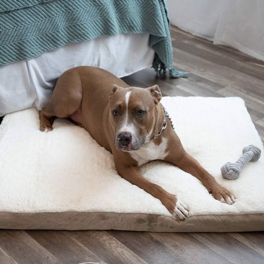 Orthopedic Pet Bed Foam-Mattress