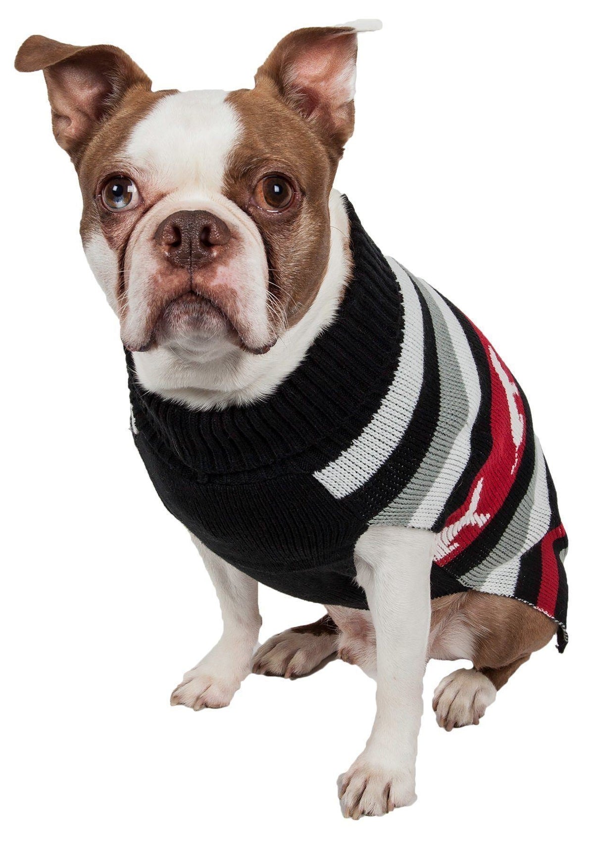 Fashion Striped Ribbed Turtle Neck Dog Sweater