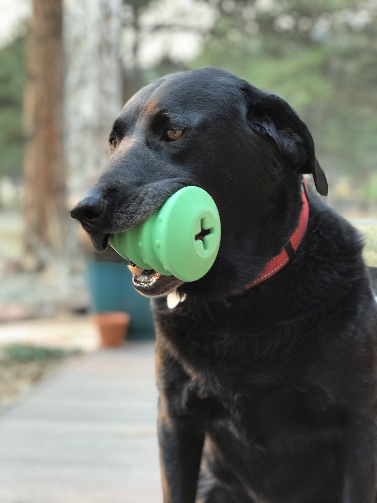 Christmas Tree With Treat Dispenser Toy - Durable Rubber for Large dogs