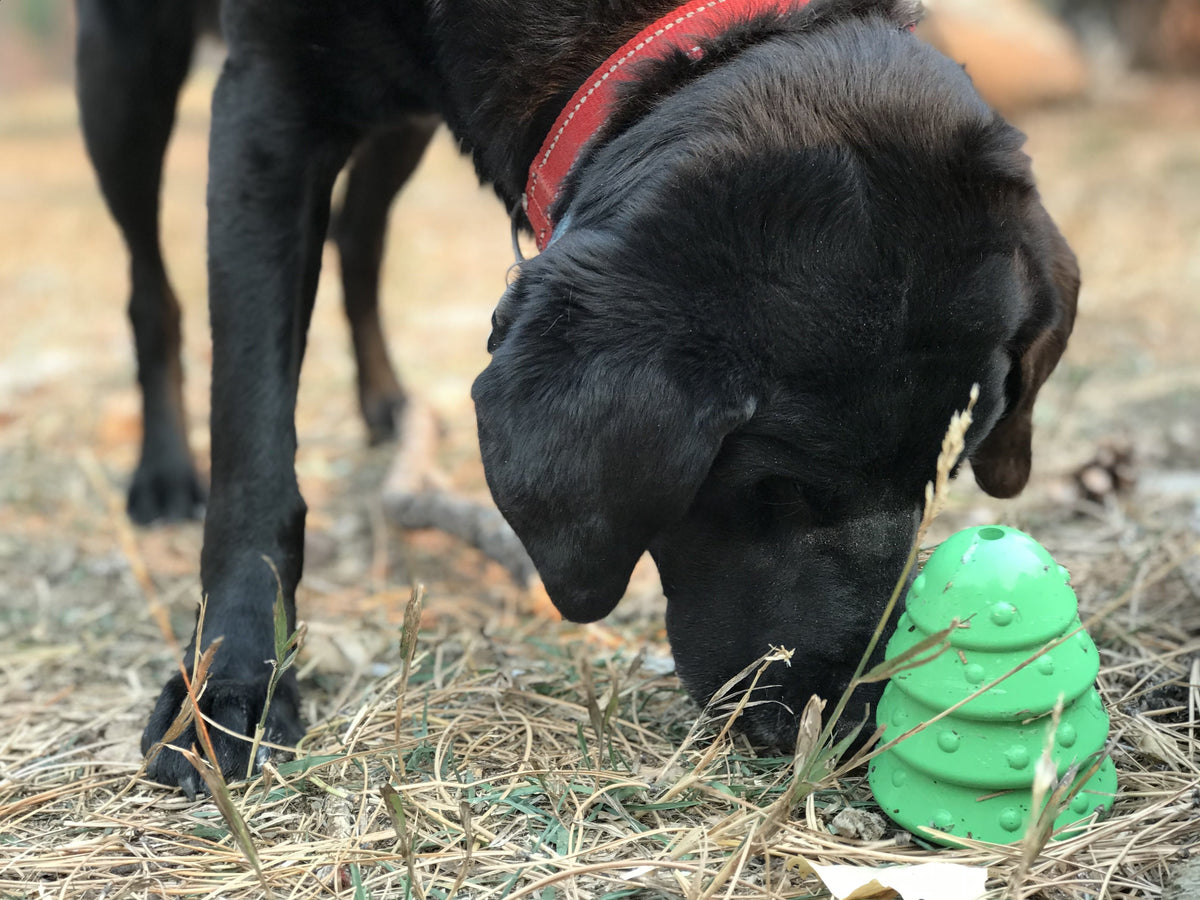 Christmas Tree With Treat Dispenser Toy - Durable Rubber for Large dogs
